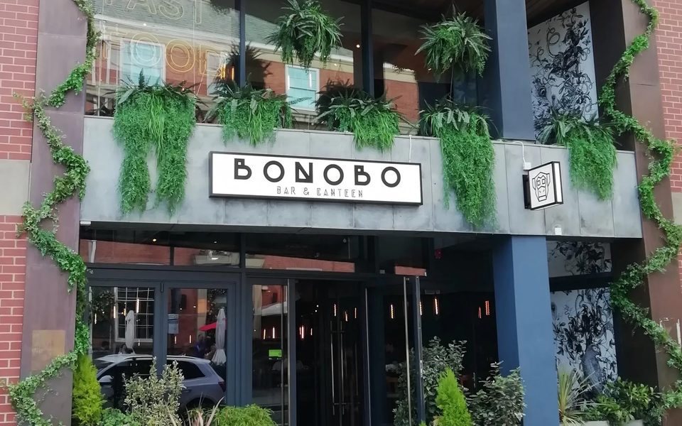 Bonobo